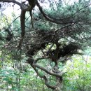 부곡체육공원 이미지