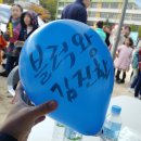 사당5동 주민센터 | [풍선 캘리그라피 행사]사당5동 솔밭 가족축제 캘리그라피 부스 참여 후기 - 감성글씨 김진민