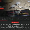 美 흔든 넷플릭스(Netflix) 한국서도 통할까? 이미지
