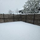 영종독 반려견 호텔, 유치원 이미지