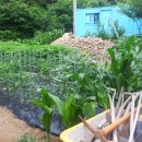 은향하늘채 이미지