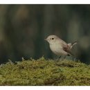 명진자원 이미지