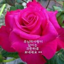살롬