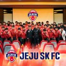 제주애서 이미지