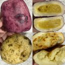 호호다방 | 빽다방 쫀득감자빵 쫀득고구마빵 내돈내산 솔직후기