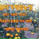 송악산농장