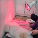 케어핏스튜디오
