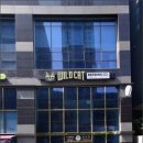 부전동 l 와일드캣브루잉 _ WILD CAT BREWING