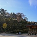 고창읍성 이미지