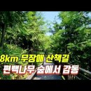 청산산악회 7월산행(봉산트래킹 코스) 안내 이미지