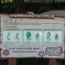 사직공원 유아숲 네이버블로그