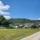 웅양중학교 이미지