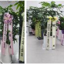 에이스 행정사 사무소 이미지