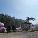 여우골카페밀크로지 | 충남 서천 타로상담 카페, 여우골 밀크로지카페 추천
