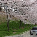 고향의봄도서관 이미지