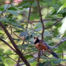 화왕산자연휴양림 이미지