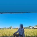 칠랙스(CHILLAX) | 베트남 안방비치 카페_호이안 칙칠랙스(Chic Chillax) 2번째방문 솔직후기