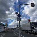 베스트 인 쇼 | 바람의 나라 사토쇼로.. 🍃 上