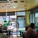 정성담은손칼국수 이미지