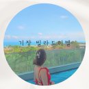 네네치킨신평점 | 기장 온수수영장 펜션 기장 신축펜션 '빌라드히멜' 기장 온수풀빌라