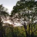 우천농장 이미지