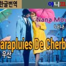 셀부루 네이버블로그
