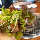 스카이농장 이미지