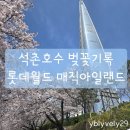 호수미 | 26년 4월 석촌호수 벚꽃 기록 및 롯데월드 매직아일랜드 야외 유아 놀이기구 탑승 후기