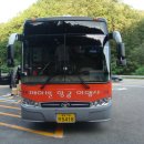 조명여행사 이미지