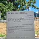 銀杏樹之旅#24.25.26(담양.강진.화순)250825~0826/*협착증外 이미지