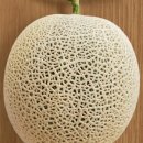 친한농장 이미지