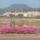 과역초등학교 이미지