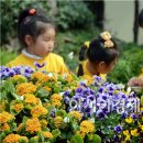삼애어린이집 이미지