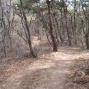창원MTB 이미지