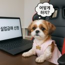 조치원 고용노동부 세종고용센터 | 실업급여, 나도 받을 수 있을까? 신청 방법부터 꿀팁까지 한눈에 보기 (실업급여 신청 후기)