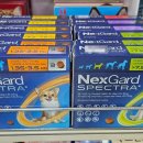 서정부부약국 이미지