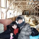 창훈목장 네이버블로그