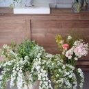 피크닉케이크 이미지