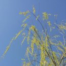 황토방세탁 이미지