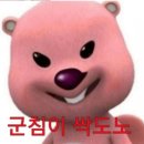 갓생맥주 네이버블로그