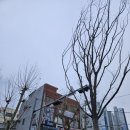 승승삼겹(주례점) 이미지