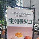 케이팥
