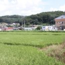 뇌조3리 네이버블로그