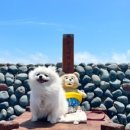 춘식이와옥희