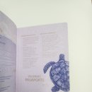 브레인 행정사사무소 이미지