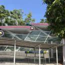 세븐일레븐(김해주촌강변점) | 25.06 : 싱가포르 혼자여행(8) 마지막 날 - 멀라이언 파크/점보시푸드/창이공항폭포/미스터코코넛...