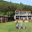 평창베니스 이미지