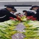 공군제8249부대 이미지