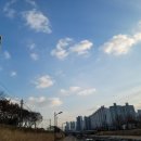 필라프데이 이미지