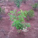 솔내음농장 이미지